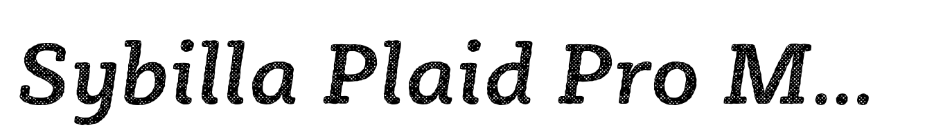 Sybilla Plaid Pro Medium Italic